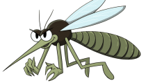 Cách Đuổi Muỗi Trong Nhà: 7 Cách Để Nhà Bạn Không Có Muỗi