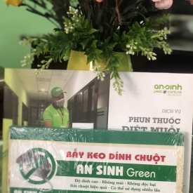Bẫy Dính Chuột An Sinh Green