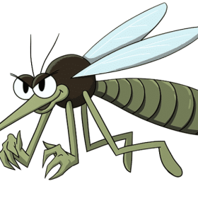 Cách Đuổi Muỗi Trong Nhà: 7 Cách Để Nhà Bạn Không Có Muỗi