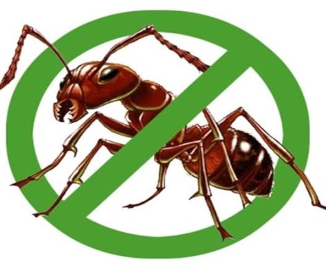 Những điều cần biết để côn trùng không còn gây hại 
